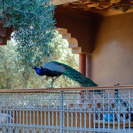 Ferme Sidi Safou & Spa Marrakesh Exteriör bild