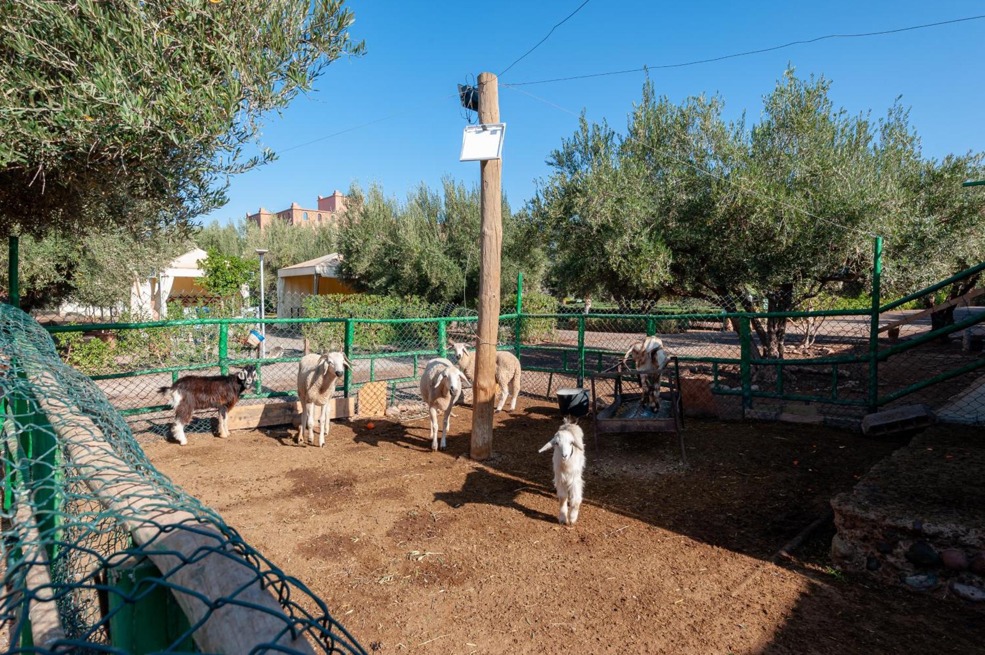 Ferme Sidi Safou & Spa Marrakesh Exteriör bild